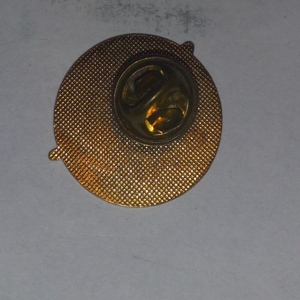 Pin - Picture 2 of 2